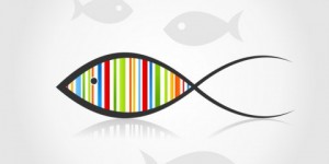 photodune-3443604-fish9-s-480x240