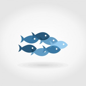 photodune-5723200-flight-of-fishes5-s