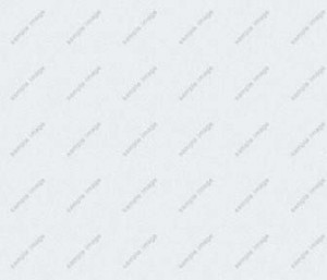 sample-image